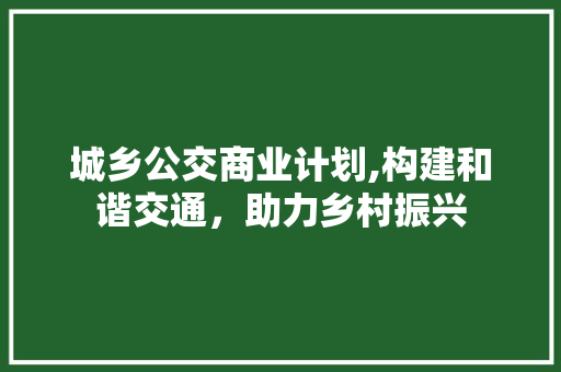 城乡公交商业计划,构建和谐交通，助力乡村振兴
