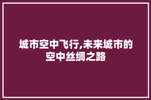 城市空中飞行,未来城市的空中丝绸之路