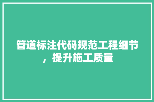 管道标注代码规范工程细节,提升施工质量 商业文稿 管道标注代码规范工程细节,提升施工质量 商业文稿