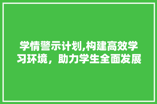 学情警示计划,构建高效学习环境，助力学生全面发展 工作报告