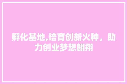 孵化基地,培育创新火种，助力创业梦想翱翔