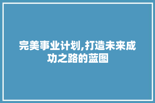 完美事业计划,打造未来成功之路的蓝图