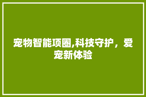 宠物智能项圈,科技守护，爱宠新体验