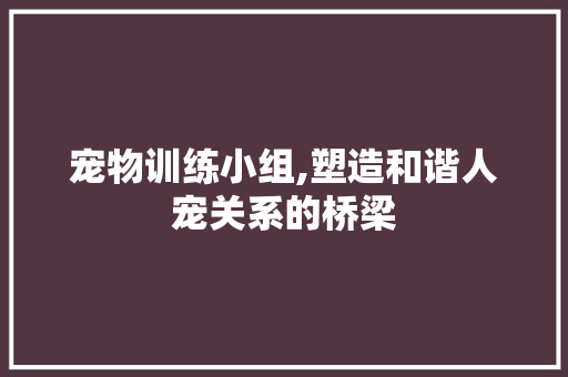 宠物训练小组,塑造和谐人宠关系的桥梁
