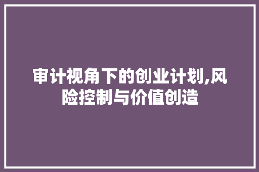 审计视角下的创业计划,风险控制与价值创造