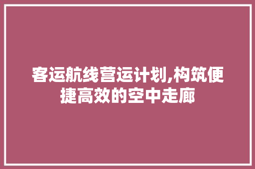 客运航线营运计划,构筑便捷高效的空中走廊