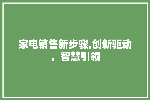 家电销售新步骤,创新驱动，智慧引领