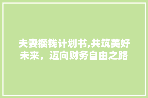 夫妻攒钱计划书,共筑美好未来，迈向财务自由之路