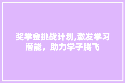 奖学金挑战计划,激发学习潜能，助力学子腾飞