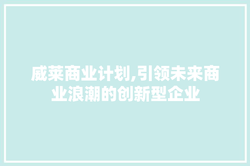 威莱商业计划,引领未来商业浪潮的创新型企业