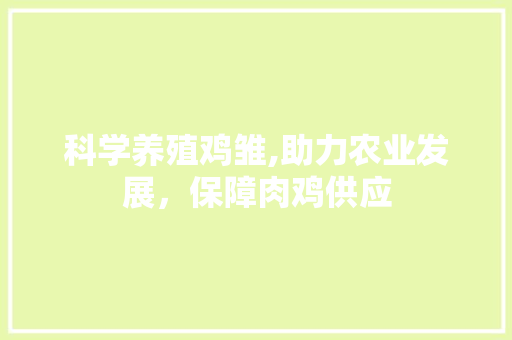 科学养殖鸡雏,助力农业发展，保障肉鸡供应