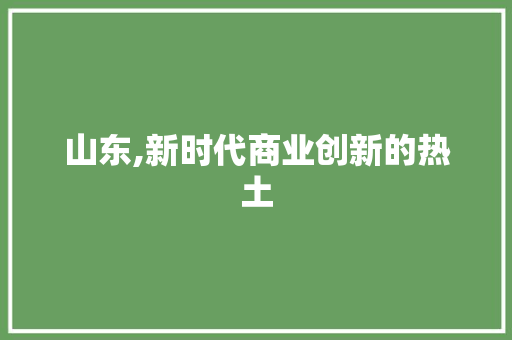 山东,新时代商业创新的热土