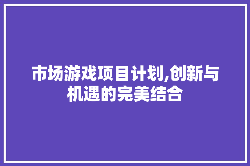 市场游戏项目计划,创新与机遇的完美结合