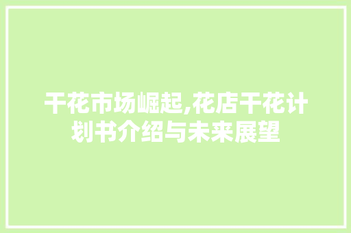 干花市场崛起,花店干花计划书介绍与未来展望