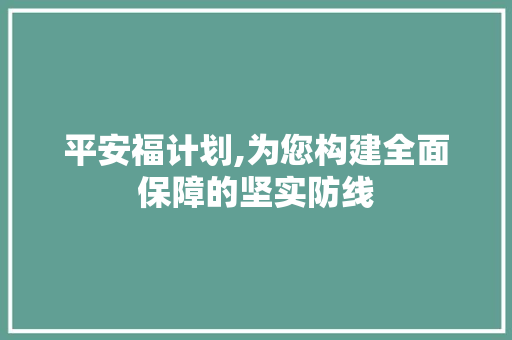 平安福计划,为您构建全面保障的坚实防线