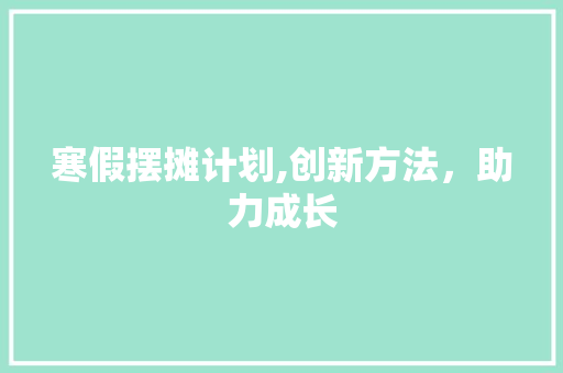 寒假摆摊计划,创新方法，助力成长