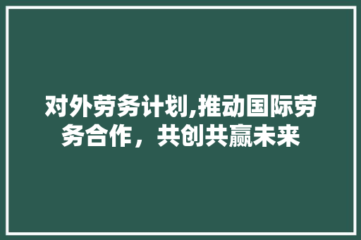 对外劳务计划,推动国际劳务合作，共创共赢未来