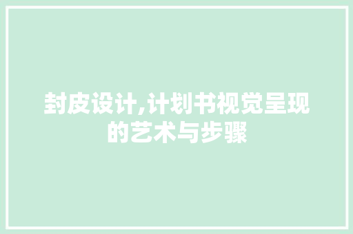 封皮设计,计划书视觉呈现的艺术与步骤