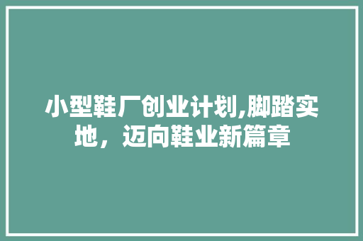 小型鞋厂创业计划,脚踏实地，迈向鞋业新篇章