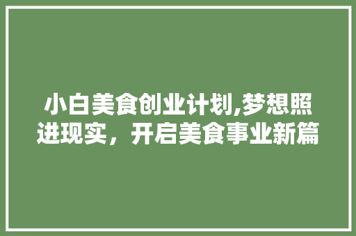 小白美食创业计划,梦想照进现实，开启美食事业新篇章