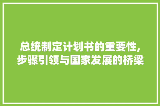 总统制定计划书的重要性,步骤引领与国家发展的桥梁
