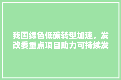 我国绿色低碳转型加速，发改委重点项目助力可持续发展 工作报告