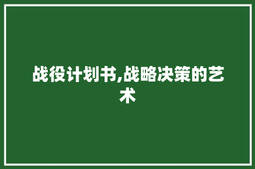 战役计划书,战略决策的艺术