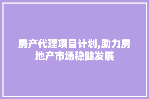房产代理项目计划,助力房地产市场稳健发展