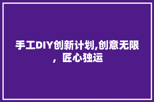 手工DIY创新计划,创意无限，匠心独运