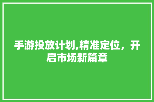 手游投放计划,精准定位，开启市场新篇章