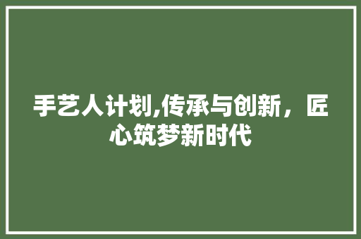 手艺人计划,传承与创新，匠心筑梦新时代