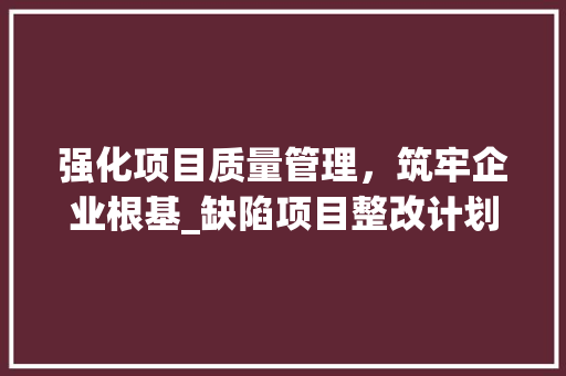 强化项目质量管理，筑牢企业根基_缺陷项目整改计划详细剖析 商业文稿