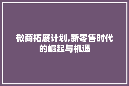 微商拓展计划,新零售时代的崛起与机遇