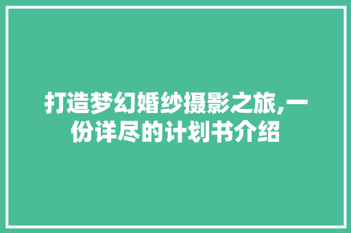 打造梦幻婚纱摄影之旅,一份详尽的计划书介绍