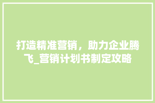 打造精准营销，助力企业腾飞_营销计划书制定攻略