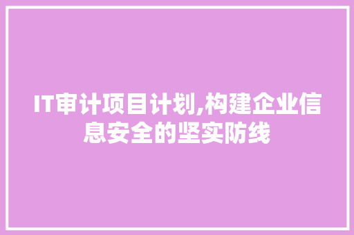IT审计项目计划,构建企业信息安全的坚实防线