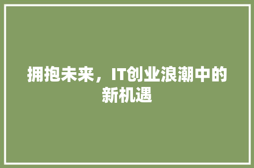 拥抱未来，IT创业浪潮中的新机遇