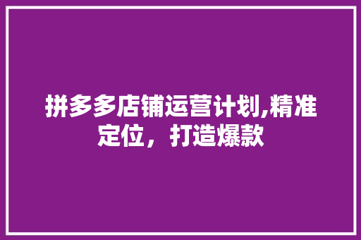 拼多多店铺运营计划,精准定位，打造爆款