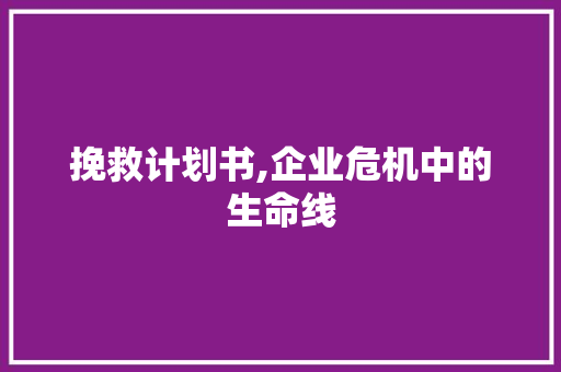 挽救计划书,企业危机中的生命线 工作类
