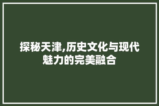 探秘天津,历史文化与现代魅力的完美融合