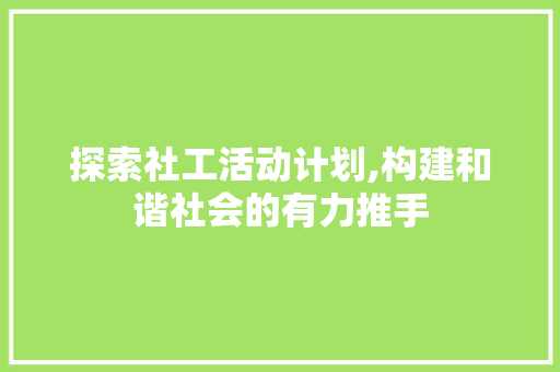 探索社工活动计划,构建和谐社会的有力推手