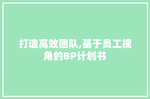 打造高效团队,基于员工视角的BP计划书