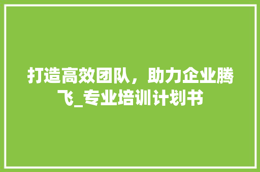 打造高效团队，助力企业腾飞_专业培训计划书