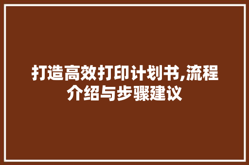 打造高效打印计划书,流程介绍与步骤建议 商业文稿