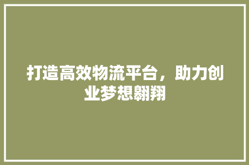 打造高效物流平台，助力创业梦想翱翔
