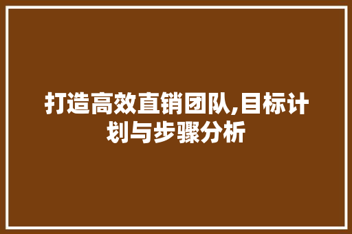 打造高效直销团队,目标计划与步骤分析 采访稿