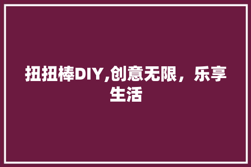 扭扭棒DIY,创意无限，乐享生活