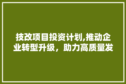 技改项目投资计划,推动企业转型升级，助力高质量发展