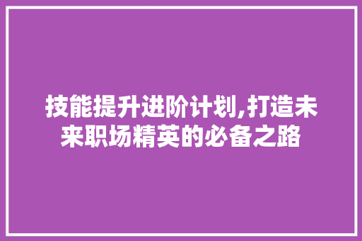 技能提升进阶计划,打造未来职场精英的必备之路
