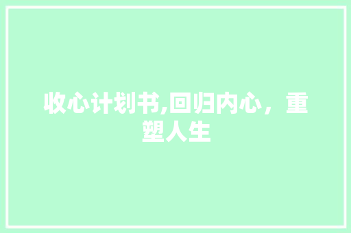 收心计划书,回归内心，重塑人生